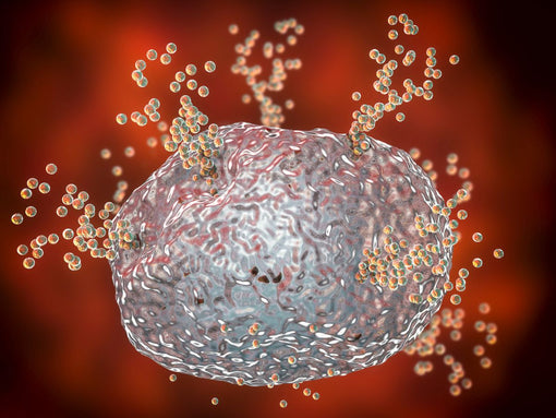 Histamine Intolerance and Gut Health 